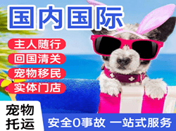 白城航空物流国际宠物托运 【国